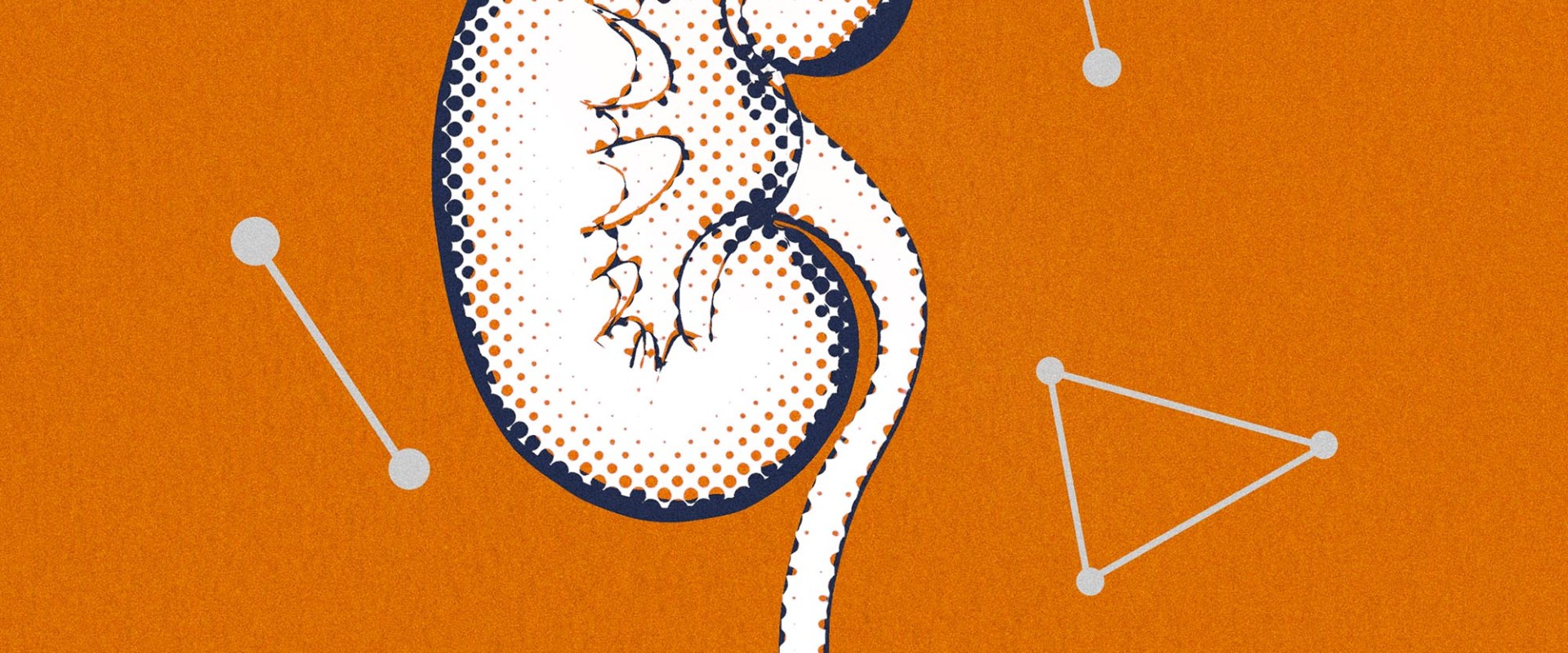 Understanding the Effects of Drugs on Organ Damage